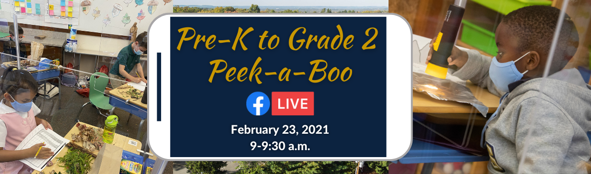 Pre-K to Grade 2  Peek-a-Boo